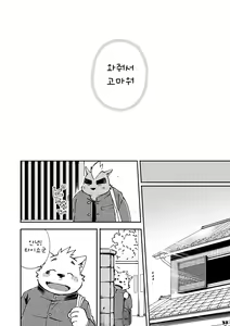 Page 116 of Mekko Rarekko 1-7 | 멧코라렛코 1-7 - preview thumbnail
