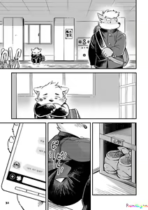 Page 256 of Mekko Rarekko 1-7 | 멧코라렛코 1-7 - preview thumbnail