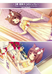 Page 28 of NEKOPARA ART WORKS Vol.2 - preview thumbnail