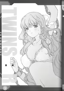 Page 4 of (C66) [F4-COMPANY (M BOY)] [R] (Onegai Twins) - preview thumbnail