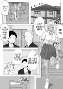 Page 3 of Namaiki na Gal Imouto o Saiminjutsu de Sukihoudai NTR | 건방진 갸루 여동생한테 최면술을 걸어 마음대로 하는 NTR - preview thumbnail