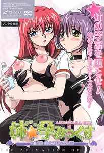 Ane Haramix 3 — hentai manga cover on Fhentai