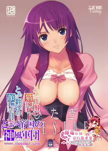 Hitagi ONE SIDE — hentai manga cover on Fhentai