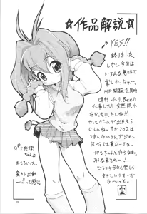 Page 22 of PA-SE-LA - preview thumbnail