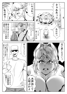 Page 11 of Himanka Appli - preview thumbnail
