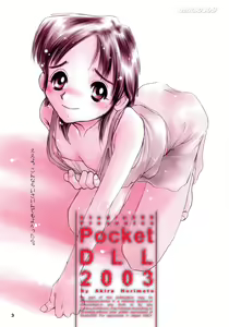 Page 2 of Pocket DLL 2003 - preview thumbnail