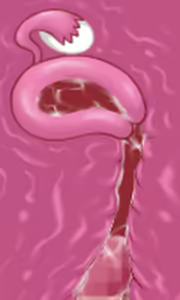 Page 11 of Karate Baka Onee-chan - preview thumbnail