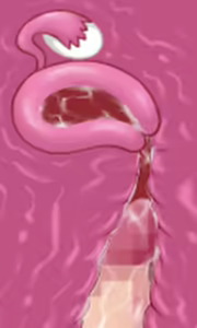 Page 12 of Karate Baka Onee-chan - preview thumbnail