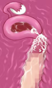 Page 14 of Karate Baka Onee-chan - preview thumbnail