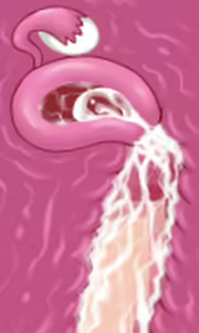Page 17 of Karate Baka Onee-chan - preview thumbnail