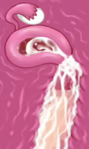 Page 18 of Karate Baka Onee-chan - preview thumbnail