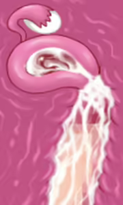 Page 20 of Karate Baka Onee-chan - preview thumbnail
