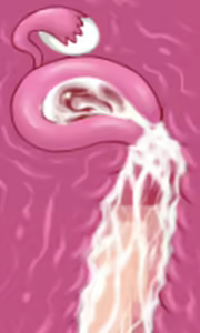Page 23 of Karate Baka Onee-chan - preview thumbnail
