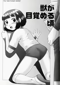Page 107 of Renketsu (decensored) - preview thumbnail