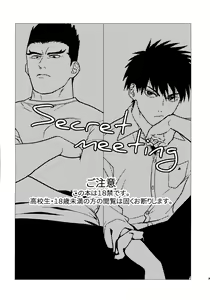 Page 2 of Secret meeting - preview thumbnail