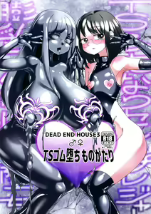 TS Gomu-ochi Monogatari - Dead End House 3 — hentai manga cover on Fhentai
