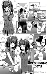 Daremo Shiranai Hana | Диковинные цветы (decensored) — hentai manga cover on Fhentai