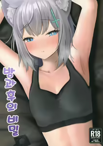 Houkago no Himitsu | 방과후의 비밀 - hentai manga cover image