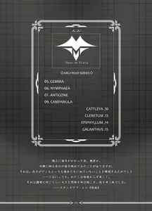 Page 3 of ArgentaArgentorum - preview thumbnail