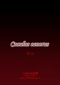 Page 33 of Cuculus canorus - preview thumbnail