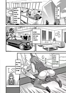 Page 63 of Kanojo no Mesugao | 그녀의 암컷얼굴 - preview thumbnail