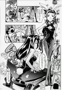 Page 13 of MEDAROMODE II - preview thumbnail
