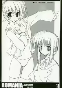 Page 13 of ROMANIA - preview thumbnail