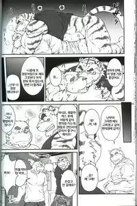 Page 19 of in J 3 - preview thumbnail