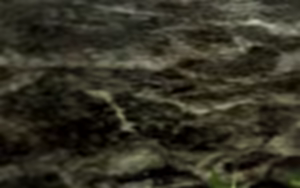 Page 119 of Ryuu to Daiken - preview thumbnail
