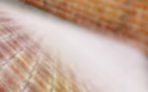 Page 323 of Ryuu to Daiken - preview thumbnail