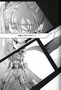 Page 27 of <Shinyaku> neon genesis document G - preview thumbnail