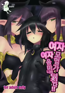 Onna Inma dakara Onna Boukensha Osou ne!! | 여자 음마니까 여자 모험자 덮친다!! — hentai manga cover on Fhentai