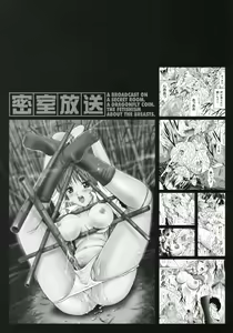 Page 4 of Misshitsu Housou - A Broadcast on a Secret Room - preview thumbnail