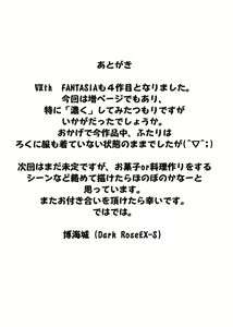 Page 28 of Vllth FANTASIA lV -Variable Sword- - preview thumbnail