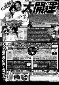 Page 221 of COMIC P Flirt Vol. 5 2010-06 - preview thumbnail