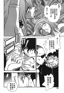 Page 171 of Maid Gokko - preview thumbnail