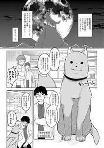 Page 57 of Jingai musume mesu ochi choukyou - preview thumbnail