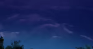 Page 66 of Ouji-sama LV1.5 CGs & Sprites - preview thumbnail
