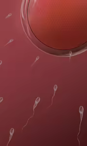 Page 748 of Isekai Tensei! Hentai Debu Oji-san Shokushu Tsukai no Oni ni Natte Mahou Shoujo-tachi o Haramase Houdai - preview thumbnail