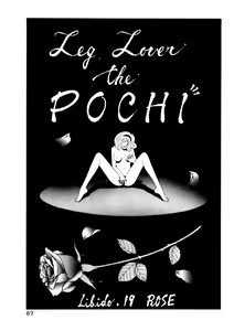 Page 69 of Leg Lover the POCHI 3 - preview thumbnail