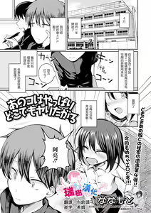 Anoko wa Yappari Doko demo Yaritagaru — hentai manga cover on Fhentai