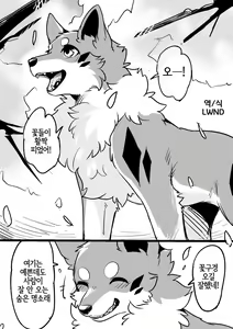Ohanami Anaba Spot (decensored) — hentai manga cover on Fhentai