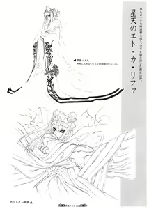 Page 51 of Seinarukana - offical ArtBook - preview thumbnail