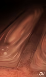 Page 223 of shenshen Fanbox - preview thumbnail