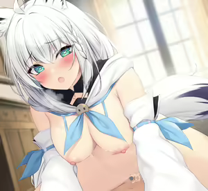 Page 14 of Shirakami Fubuki no Ecchi na E - preview thumbnail