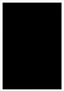 Page 13 of Autoscopy - preview thumbnail