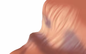 Page 1485 of CataclyZm - preview thumbnail