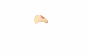 Page 1488 of CataclyZm - preview thumbnail
