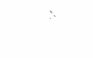 Page 225 of CataclyZm - preview thumbnail