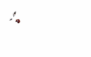 Page 623 of CataclyZm - preview thumbnail